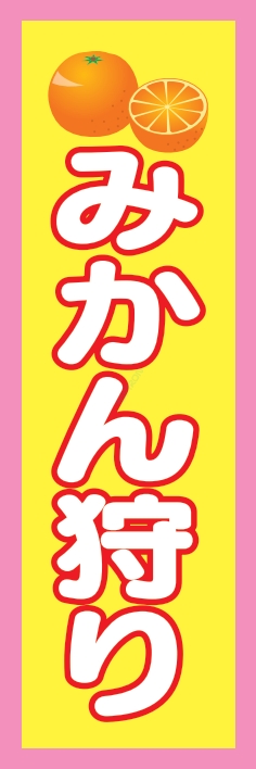 果物 みかん