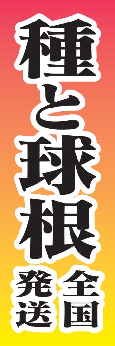 花 園芸 種 球根