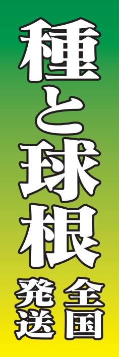 花 園芸 種 球根