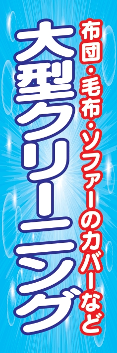 クリーニング 大型ｸﾘｰﾆﾝｸﾞ