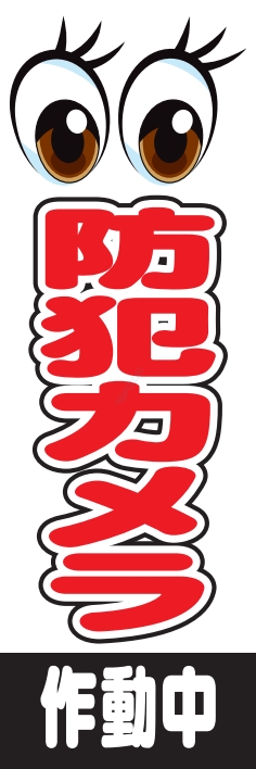 防犯 交通安全 防犯カメラ