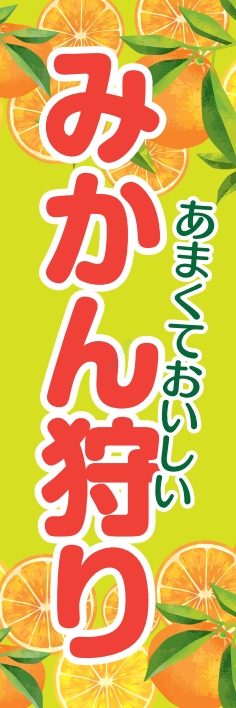 秋 イベント みかん狩り